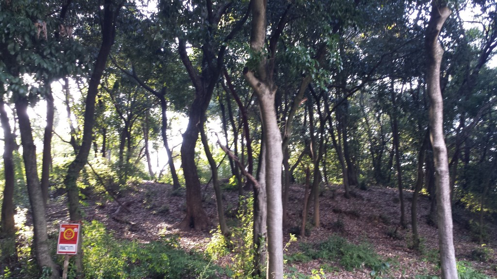 20 Seconds of Insane&nbsp;Courage