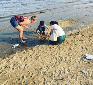 7b0d8460-fed3-4cff-b5bd-3e8bff018743