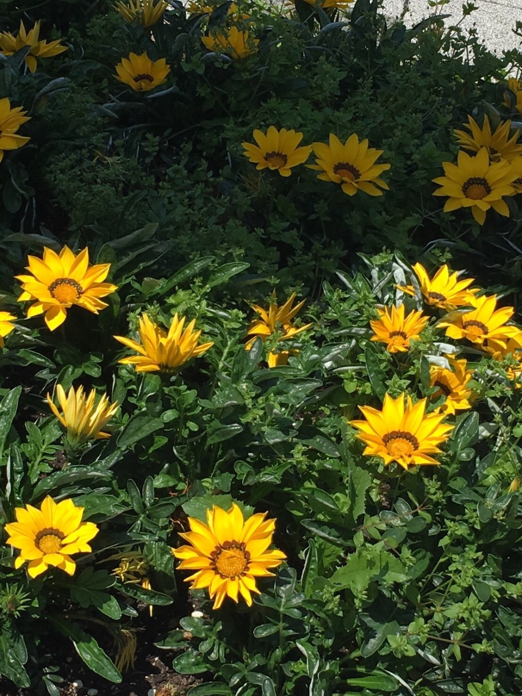 Because I have&nbsp;changed