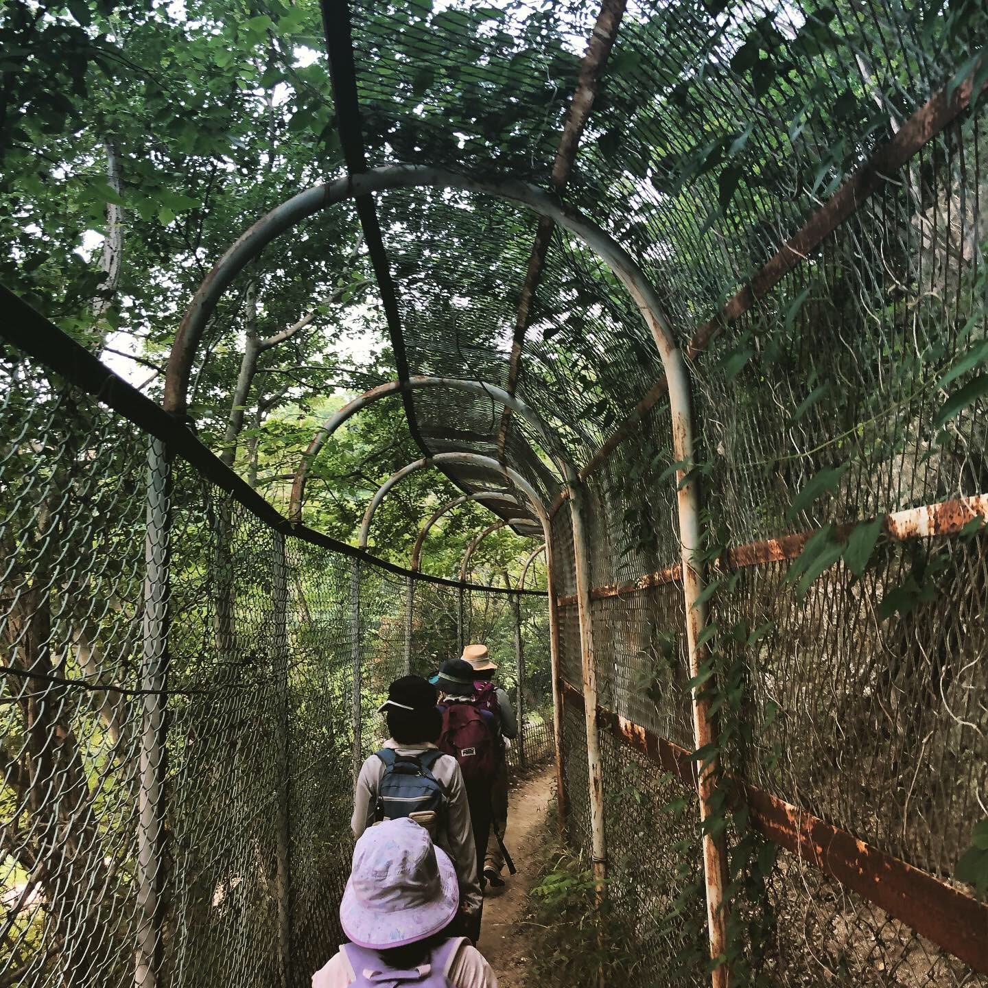 4d4e2f6d-9c4d-4481-bcae-53956dbfcbd0