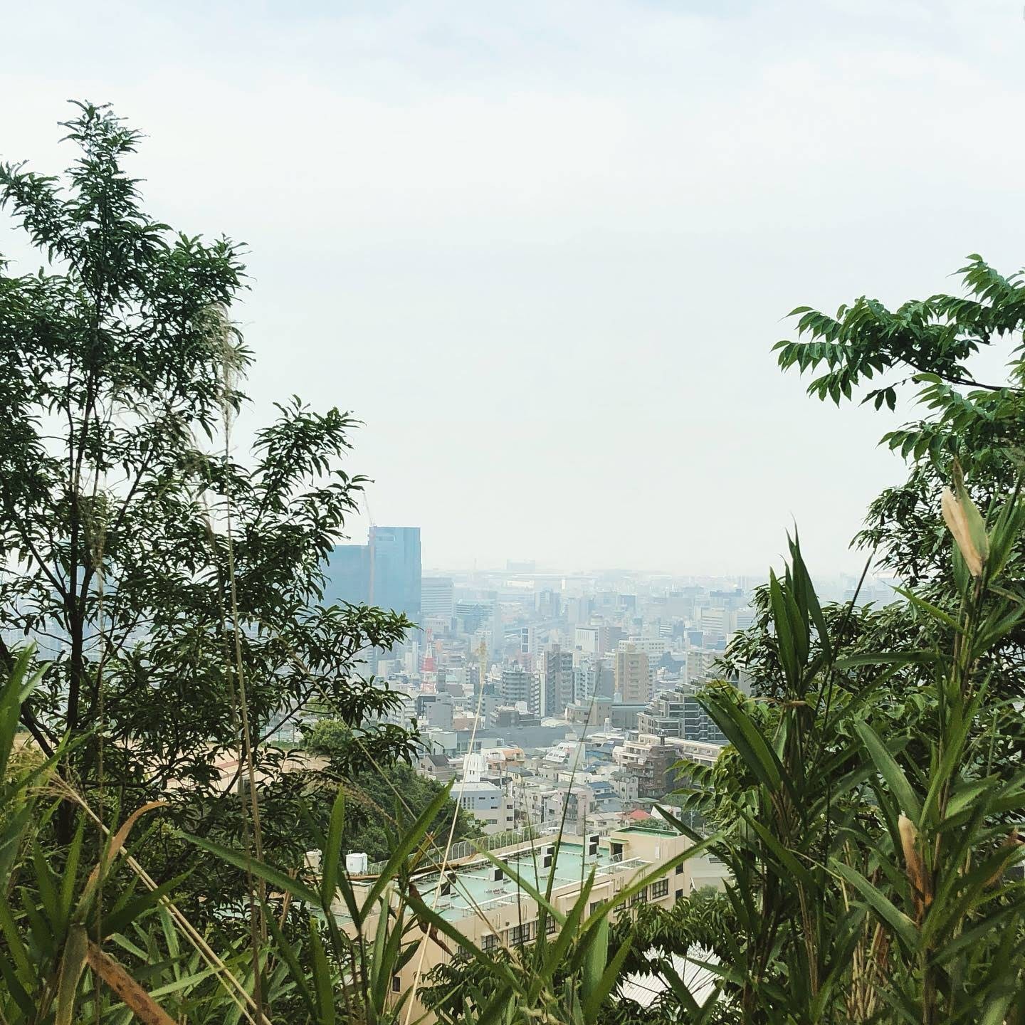 88f9dbee-962a-4cab-ba00-d5e3ddf8a85c