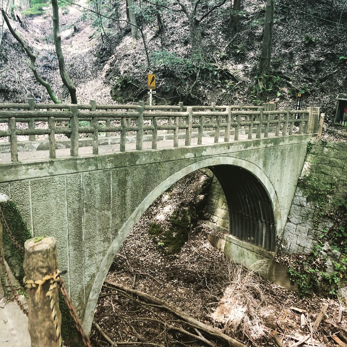 e51c0f2f-2a8a-4690-a018-728d1bb01458