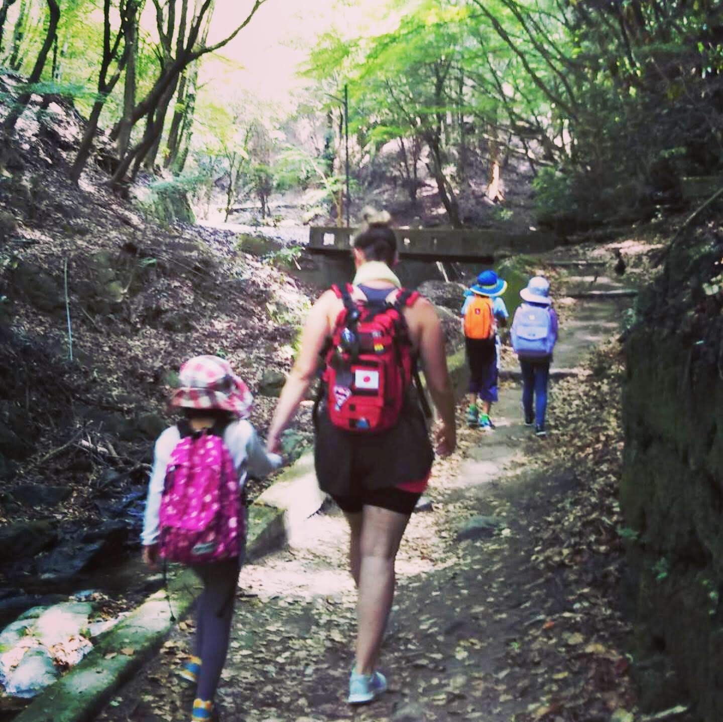 eb960fe9-c7d0-4f53-acbc-027efa450071