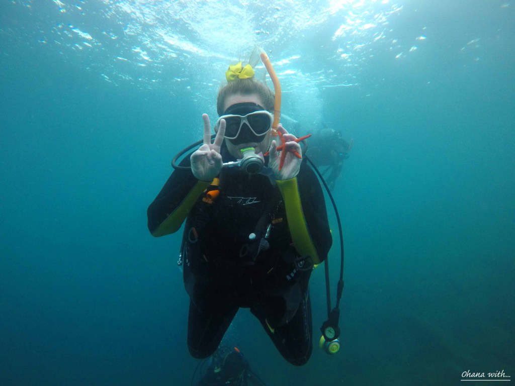 Butterflies and Brown&nbsp;Eyes